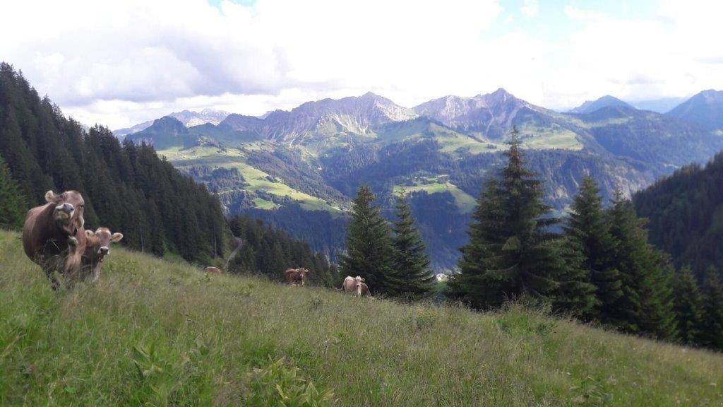 فندق Berghaus Schafer فاشينا المظهر الخارجي الصورة