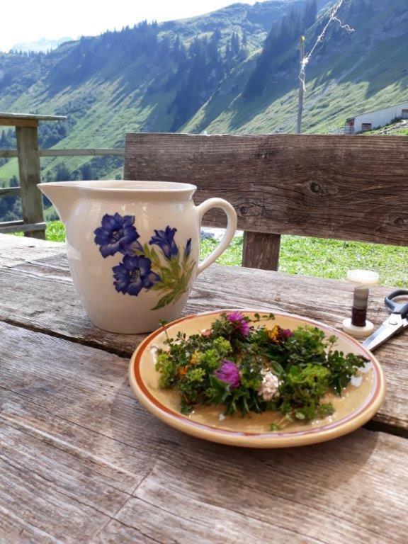 فندق Berghaus Schafer فاشينا المظهر الخارجي الصورة